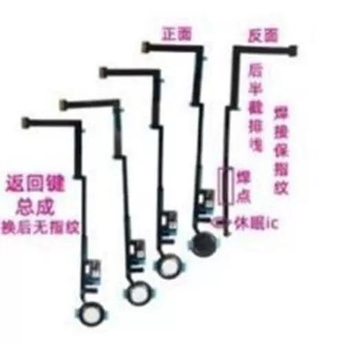 home键排线
