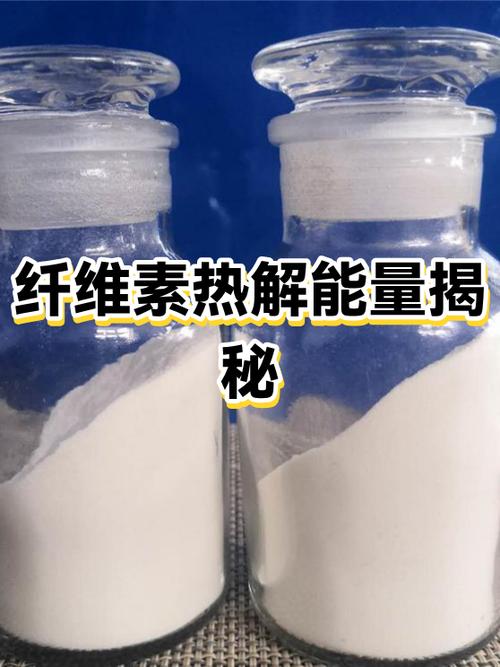 支付宝92克能量是哪儿怎么来的