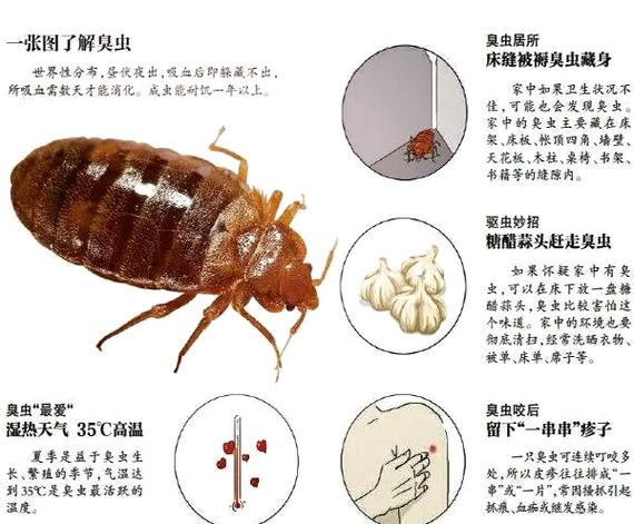 鸟笼血螨怎么彻底消灭的