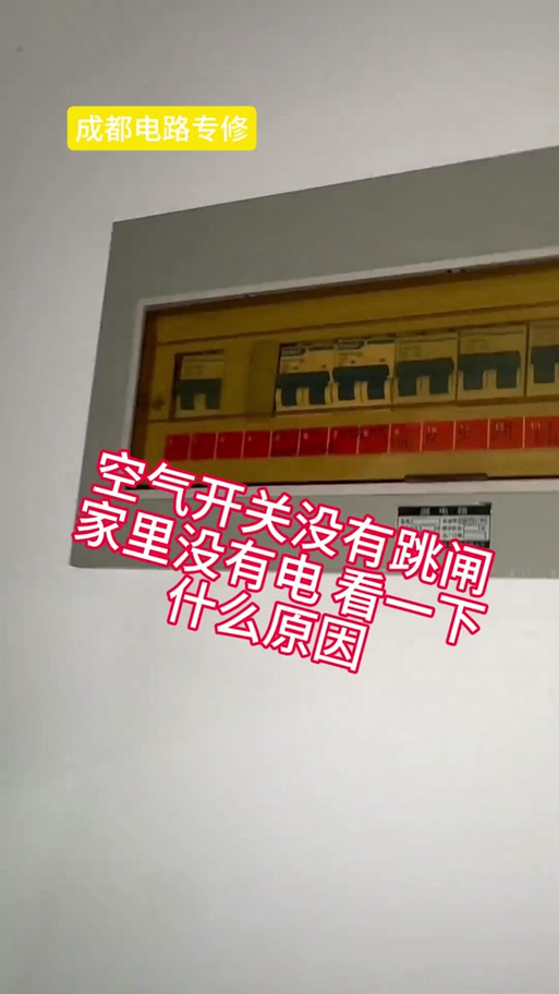 家里开关没跳闸但没电