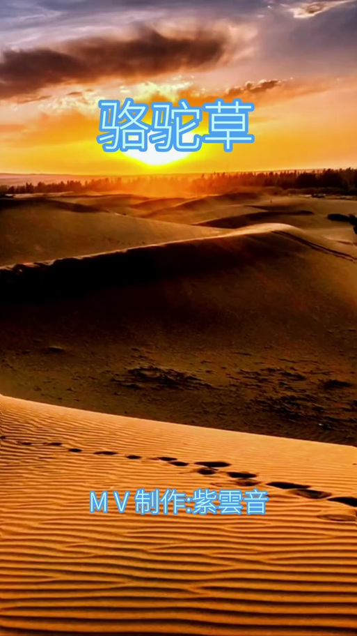 骆驼之歌 黑哥 mp3