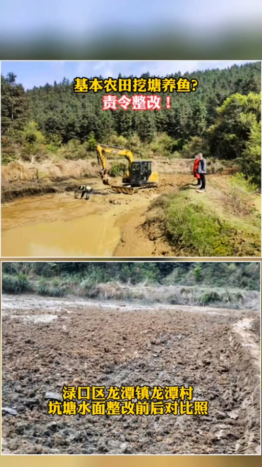 农村田地改成鱼塘合法吗