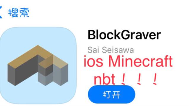 我的世界NBT制裁盒子游戏截图