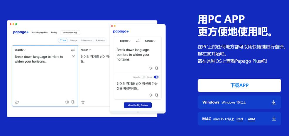 网页实时翻译器