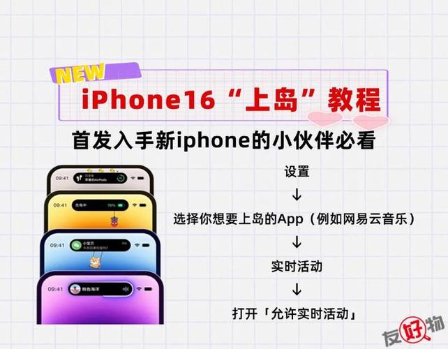 灵动岛使用方法
