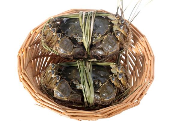 螃蟹断气10个小时还能吃吗