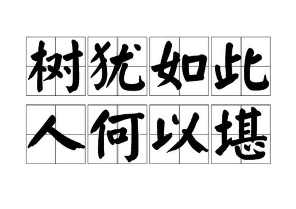 树犹如此,人何以堪小说