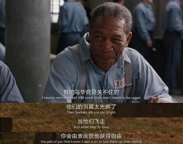 肖申克的救赎 演员表图标