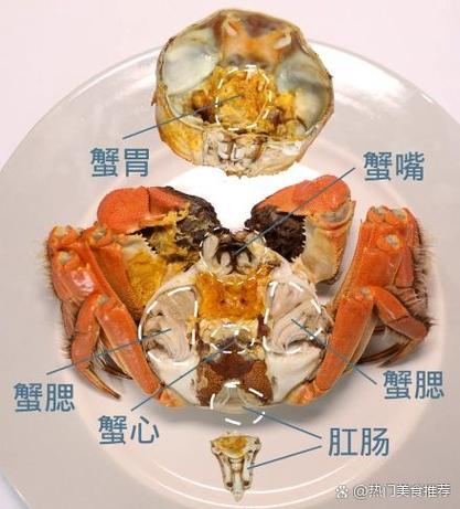 螃蟹不能吃的部位图解