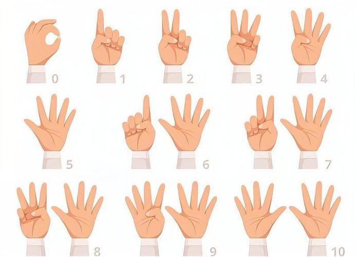 1-10手势图解
