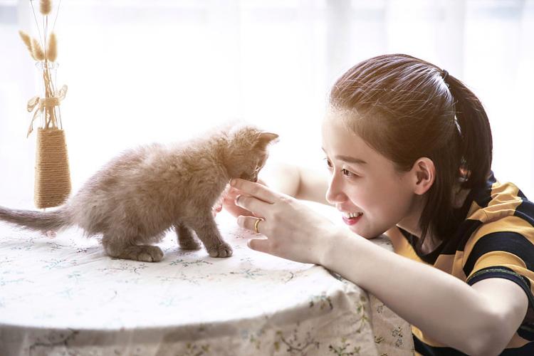 跟女孩子聊猫