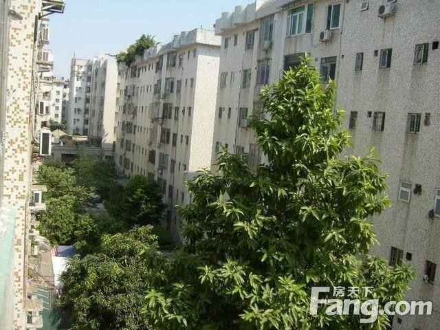 如意花园最新房价