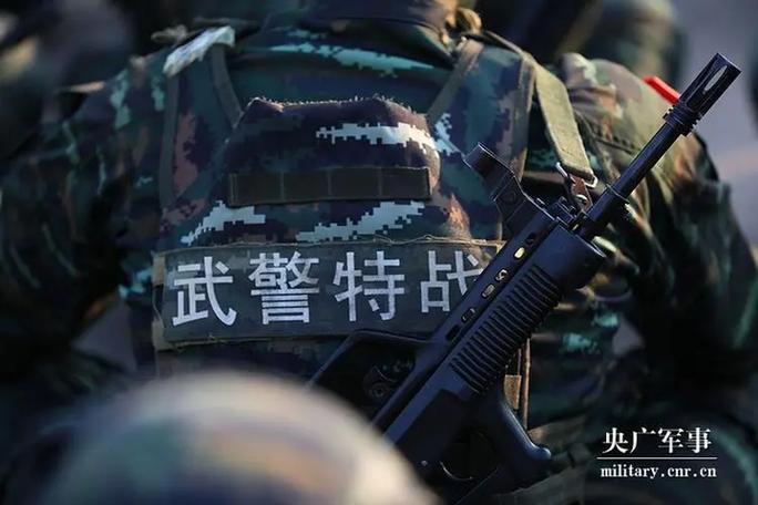 武警和军人哪个更厉害