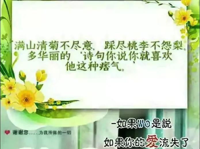 两个人相伴一生的诗句