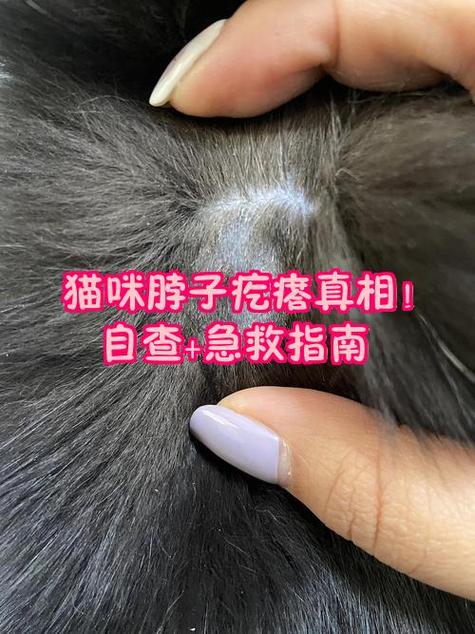 身上大红疙瘩很痒很硬游戏截图
