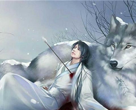 折锦春姚霁珊小说