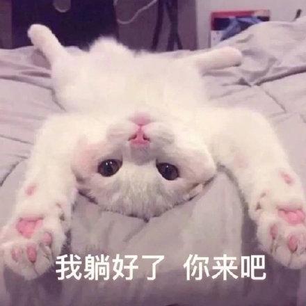 躺好了的表情图片