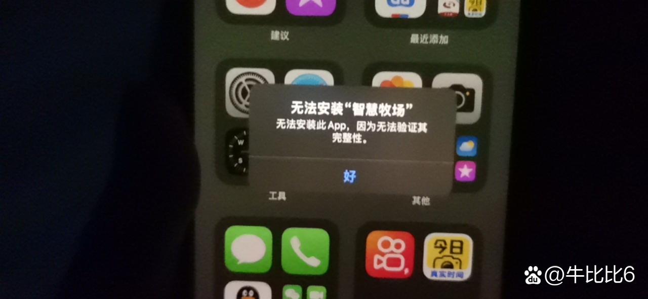 iphone11下载不了app