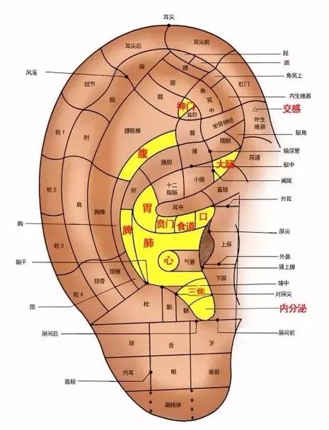 一张嘴耳朵里面就咯吱响怎么回事图标