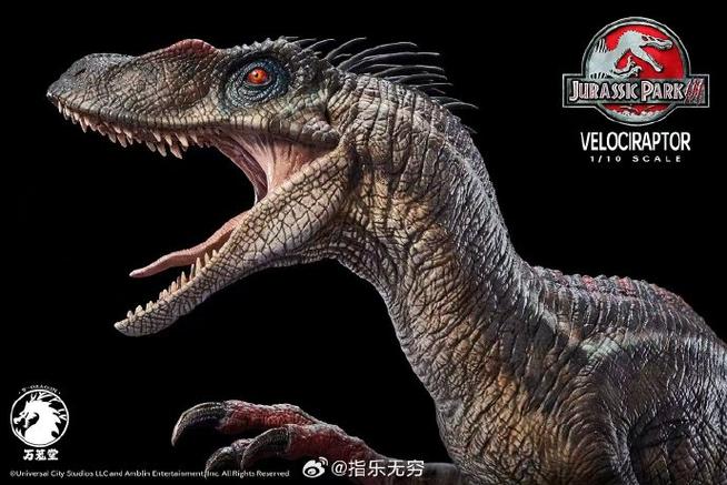 迅猛龙资料