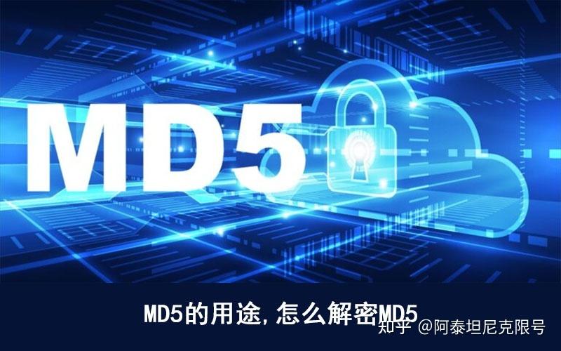 MD5编码图标