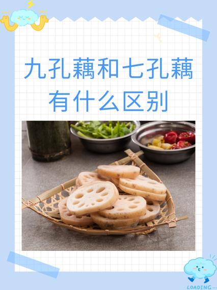 莲与藕的区别