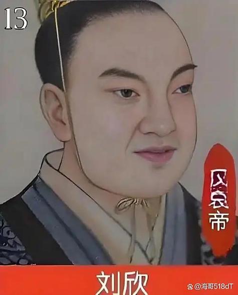 汉哀帝下一个皇帝是谁