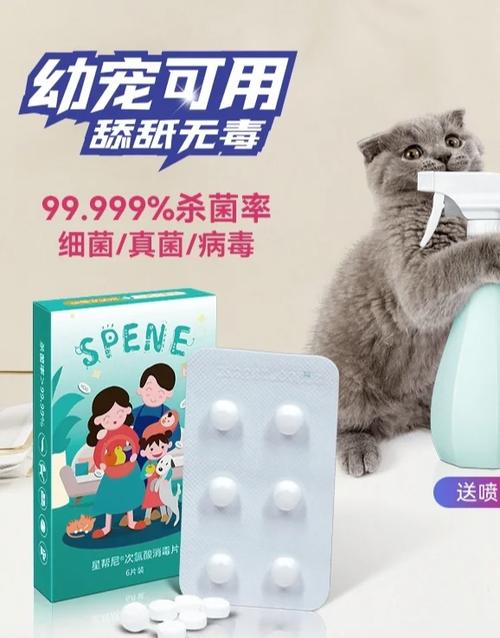 猫瘟后怎么消毒才彻底