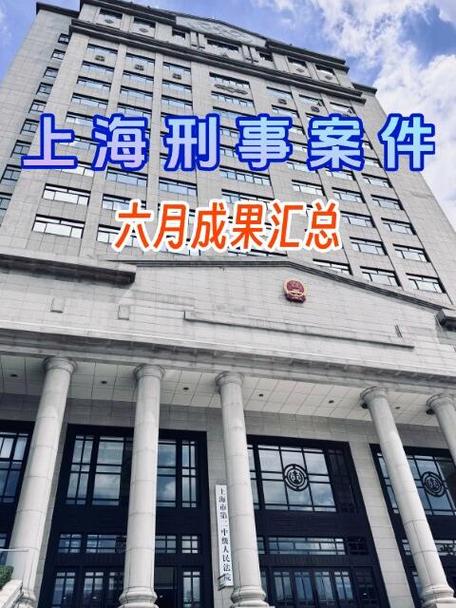 上海刑事案件查询网上查询
