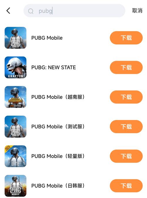 PUBG国际服怎么下载正版