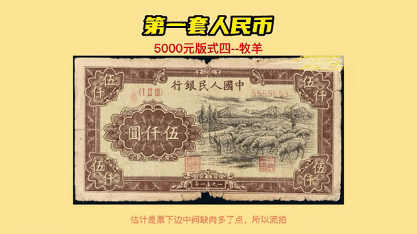 1951绵羊币真假