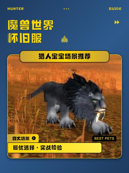魔兽世界正式服猎人稀有宝宝大全