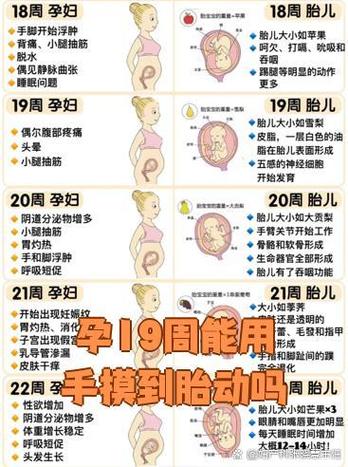 剧烈胎动视频