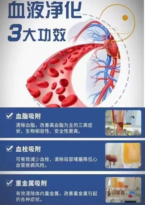博睿达康净净化血液有效果吗