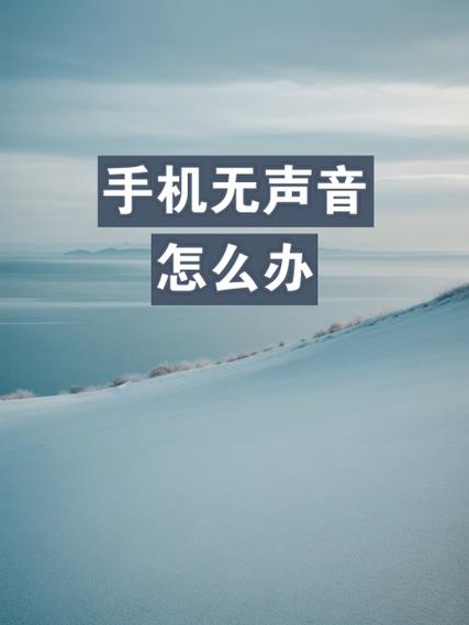 oppo手机听音乐没有声音怎么办