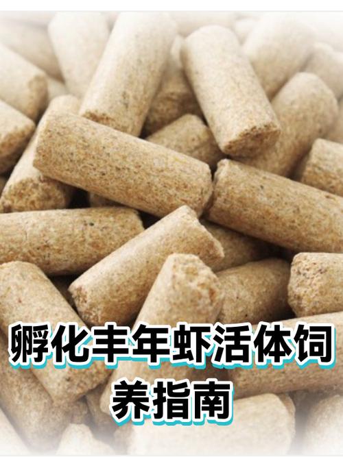 丰年虾如何养大