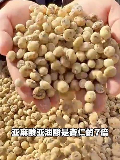沙豆解说截图