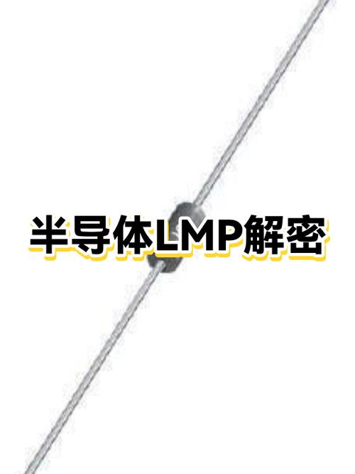 lmp是什么网络梗