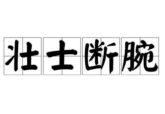 壮士开头的成语