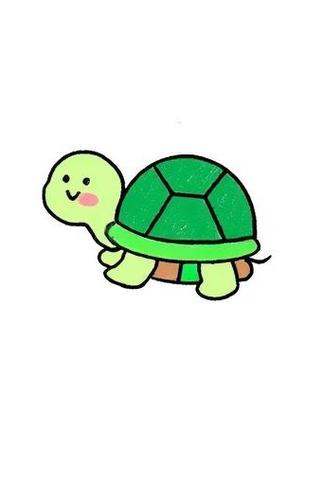 小班有趣的乌龟反思