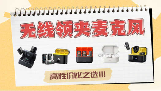 中国十大麦克风品牌排行榜缩略图