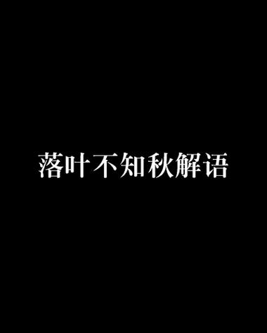 落叶小说免费阅读入口