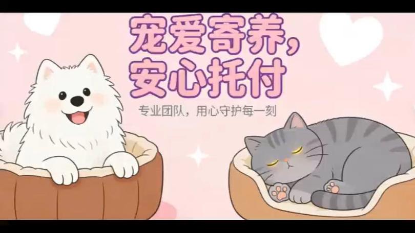 男主寄养女主家并且男主暗恋女主