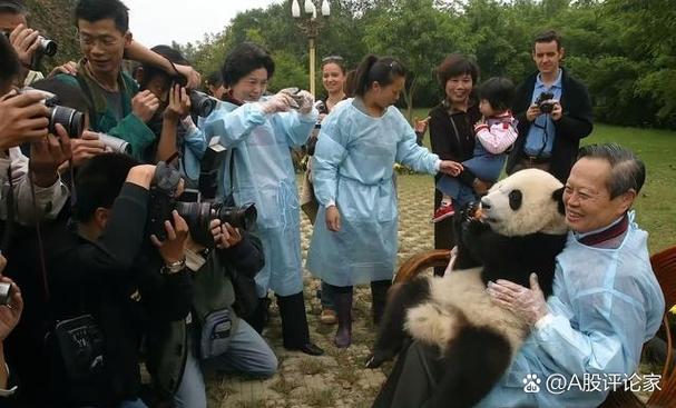 大熊猫饲养员一年工资游戏截图