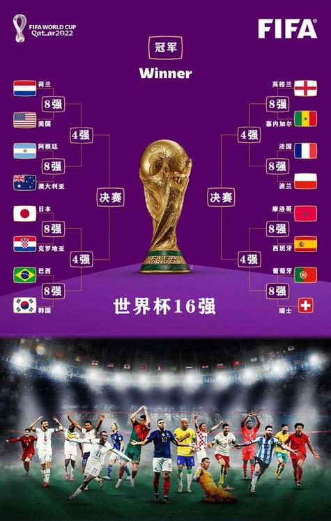世界杯进入8强的球队图标