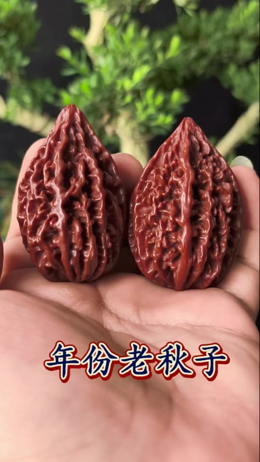盘它就对了
