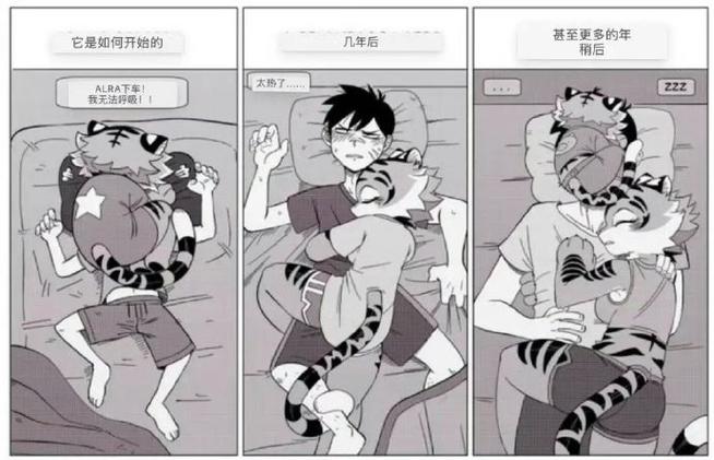 性取向福瑞啥意思