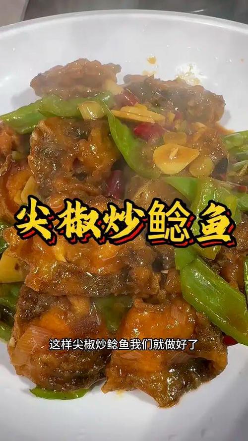 鲶鱼最爱吃什么食物