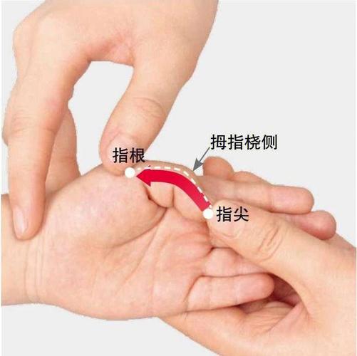 两横指是哪个手指