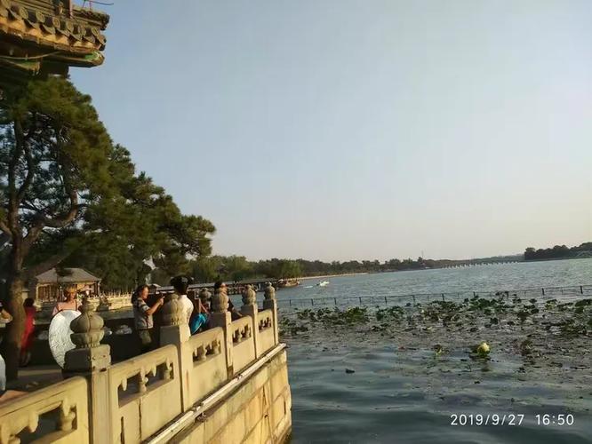 观日落阅读题答案四年级